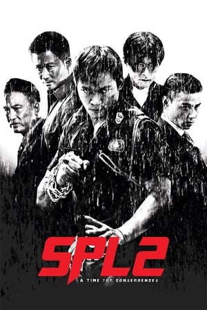 Kill Zone 2 (2015) Hindi Dual Audio 400MB - Movierulz
