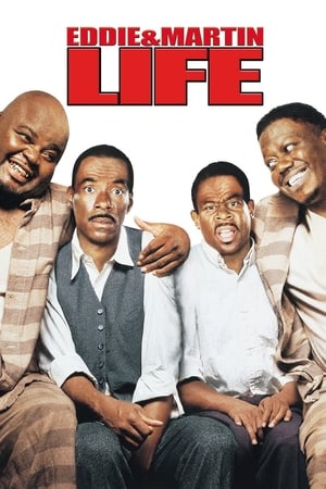 Life (1999) Hindi Dual Audio [1.3GB] - Movierulz