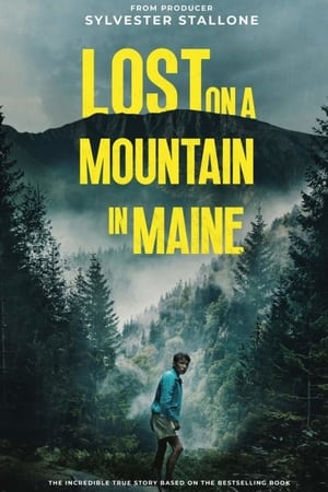 Lost on a Mountain in Maine 2024 Hindi Subbed - Movierulz