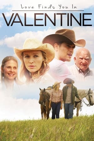 Love Finds You in Valentine (2016) Hindi Dual Audio [800MB] - Movierulz