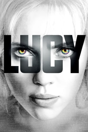 Lucy (2014) Hindi Dual Audio 300MB - Movierulz