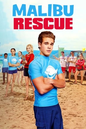 Malibu Rescue (2019) Hindi Dual Audio 650MB - Movierulz