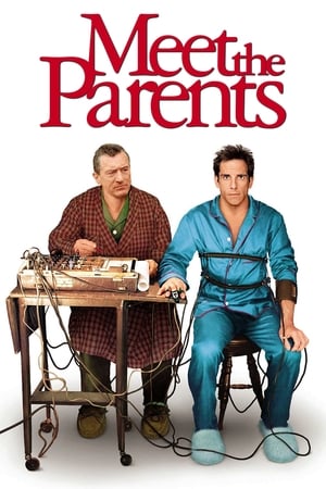 Meet the Parents 2000 Hindi Dual Audio [930MB] - Movierulz