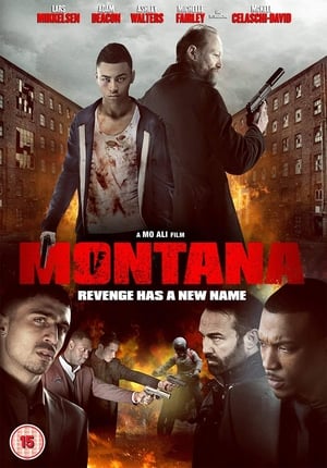 Montana (2014) Hindi Dual Audio 350MB - Movierulz