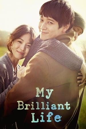 My Brilliant Life (2014) Hindi Dual Audio – 720p – - Movierulz