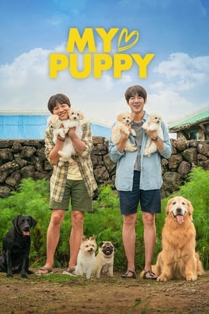 My Heart Puppy (2022) Hindi Dual Audio – - Movierulz