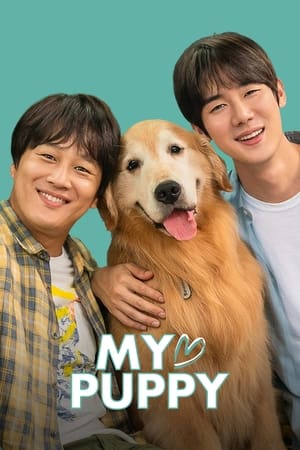 My love puppy (2022) Hindi Dual Audio – - Movierulz