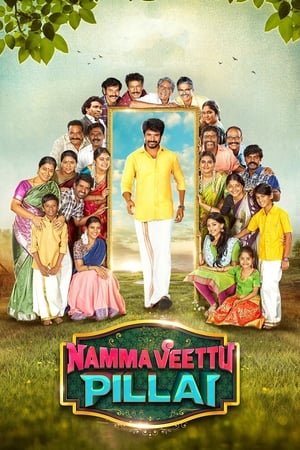 Namma Veettu Pillai (2019) (Hindi – Tamil) Dual Audio 450MB - Movierulz