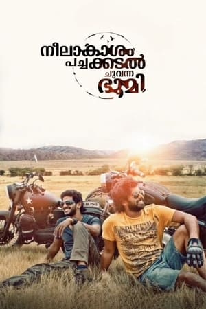 Neelakasham Pachakadal Chuvanna Bhoomi (2013) Hindi Dubbed 450MB - Movierulz