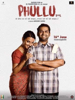 Phullu 2017 300MB Full Movie DTHRip Download - Movierulz