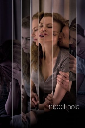 Rabbit Hole (2010) Hindi Dual Audio [750MB] ESubs - Movierulz