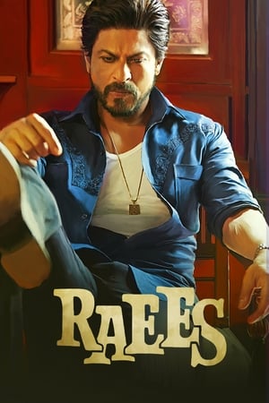 Raees 2017 Full Movie [1.2GB] Download - Movierulz