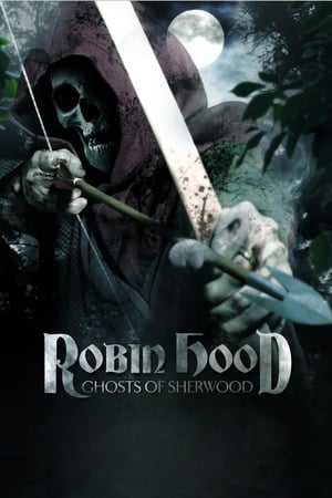 Robin Hood: Ghosts of Sherwood (2012) Hindi Dual Audio 350MB - Movierulz
