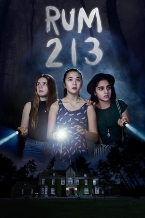 Rum 213 2017 Hindi Dual Audio [800MB] - Movierulz