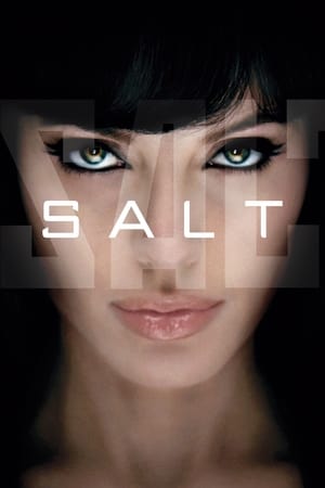 Salt (2010) Hindi Dual Audio 300MB - Movierulz