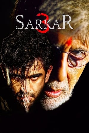 Sarkar 3 (2017) Full Movie (Hindi) [700MB] Download - Movierulz