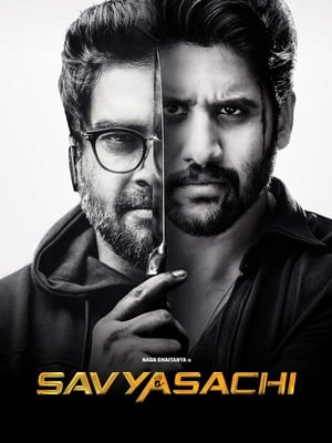 Savyasachi (2018) Hindi Dual Audio 450MB - Movierulz