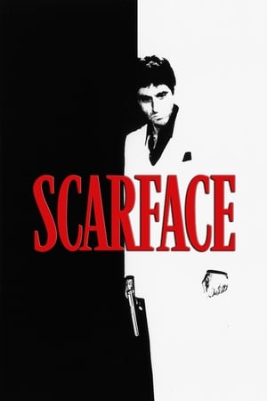 Scarface (1983) Dual Audio Hindi 500MB - Movierulz