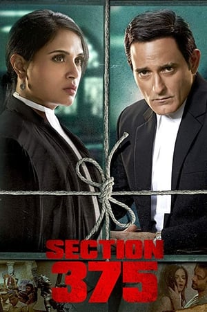 Section 375 (2019) Hindi Movie [980MB] - Movierulz