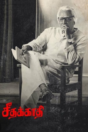 Seethakaathi (2018) Hindi Dubbed 400MB - Movierulz