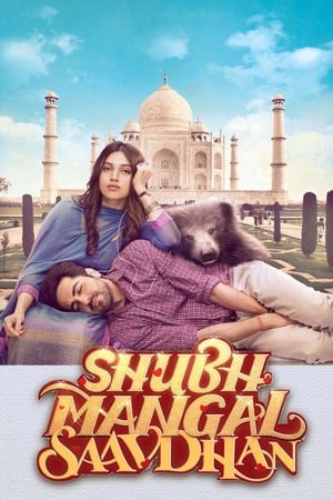 Shubh Mangal Saavdhan (2017) Hindi Movie [150MB] - Movierulz