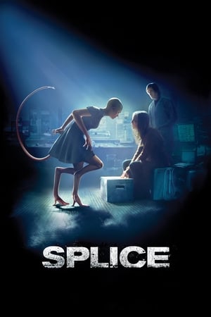 Splice 2009 Hindi Dual Audio 330MB - Movierulz