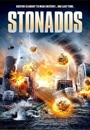 Stonados (2013) Hindi Dual Audio [840MB] - Movierulz