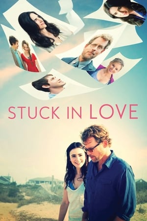 Stuck in Love (2012) Hindi Dual Audio [850MB] - Movierulz