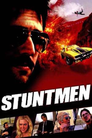 Stuntmen 2009 Hindi Dual Audio [800MB] - Movierulz