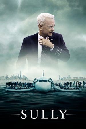 Sully (2016) Hindi (Unofficial Dubbed) Dual Audio [] [720p] - Movierulz