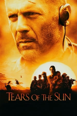 Tears of the Sun 2003 Hindi Dual Audio [970MB] - Movierulz