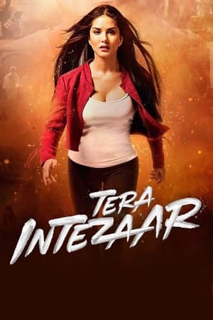 Tera Intezaar 2017 Movie - [300MB] - Movierulz