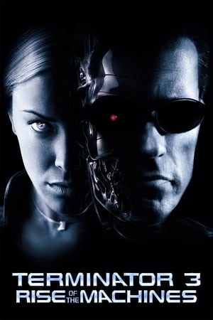 Terminator 3: Rise of the Machines (2003) Hindi Dual Audio 350MB - Movierulz