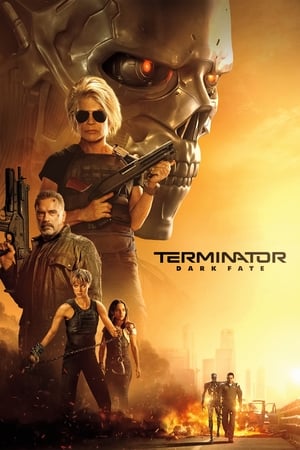 Terminator: Dark Fate (2019) Hindi (Org) Dual Audio [1GB] - Movierulz