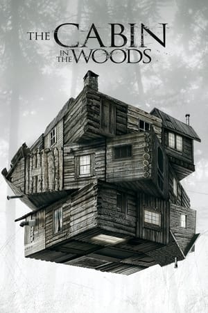 The Cabin in the Woods 2012 Dual Audio Hindi 300MB ESubs - Movierulz