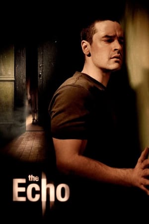 The Echo (2008) Hindi Dual Audio [900MB] - Movierulz