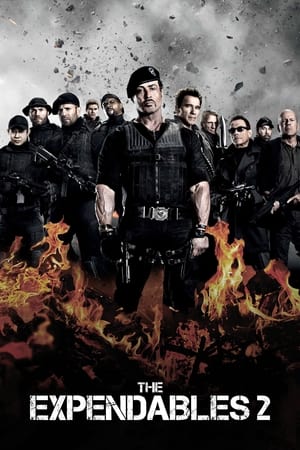 The Expendables 2 (2012) 100mb Hindi Dual Audio movie Download - Movierulz