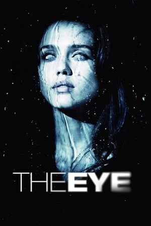 The Eye (2008) Hindi Dual Audio 300MB - Movierulz