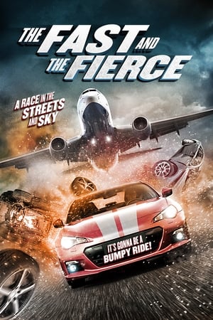 The Fast and the Fierce 2017 Hindi Dual Audio 300MB - Movierulz