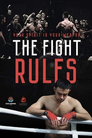 The Fight Rules 2017 Hindi Dual Audio 260MB - Movierulz