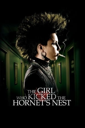 The Girl Who Kicked the Hornet's Nest (2009) Hindi Dual Audio [1.2GB] - Movierulz