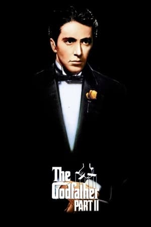 The Godfather Part II (1974) Dual Audio Hindi Full Movie - 1GB - Movierulz