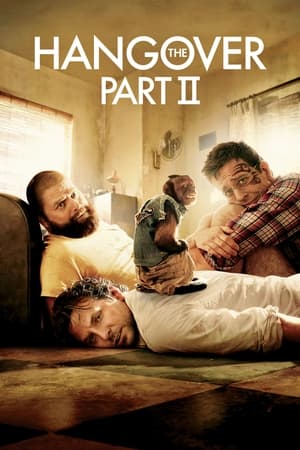 The Hangover Part II (2011) Hindi Dual Audio 300MB - Movierulz