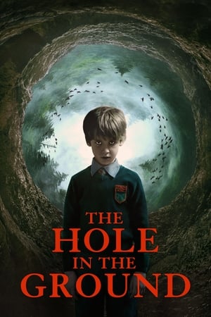 The Hole in the Ground 2019 Hindi Dual Audio 300MB - Movierulz