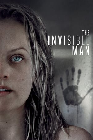 The Invisible Man (2020) Hindi (ORG) Dual Audio [1GB] - Movierulz