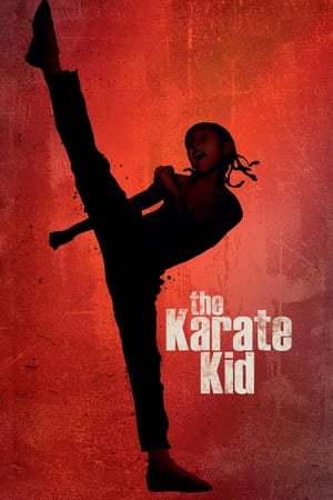 The Karate Kid 2010 Hindi Dubbed 1GB Movie - Movierulz