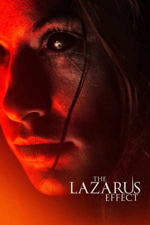 The Lazarus Effect (2015) Hindi Dual Audio 300MB - Movierulz