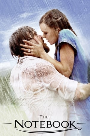 The Notebook 2004 Dual Audio Hindi 400MB - Movierulz