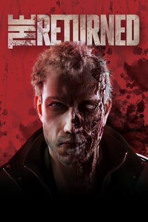 The Returned 2013 Dual Audio Hindi 300MB - Movierulz