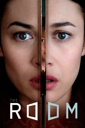 The Room 2019 Hindi Dual Audio 300MB - Movierulz